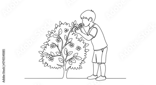 Boy picking and eating berries from bush in linear black and white style