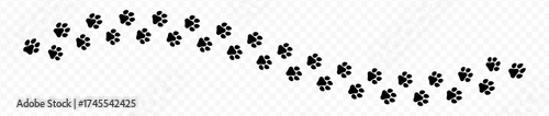 Paw print of dog isolated on transparent background. cat paw print. cat walk foot print. Paw print of dog PNG