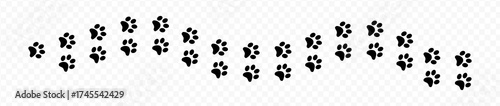 Paw print of dog isolated on transparent background. cat paw print. cat walk foot print. Paw print of dog PNG
