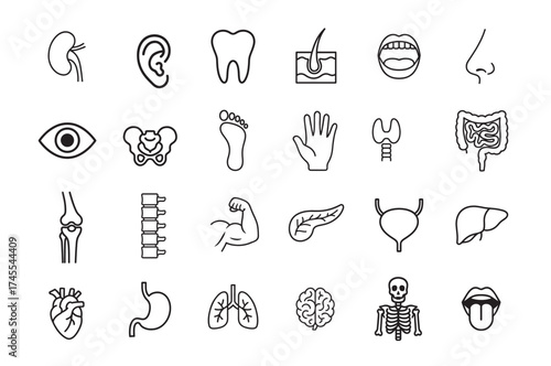 Collection of hand drawn medical icons representing human anatomy and organs