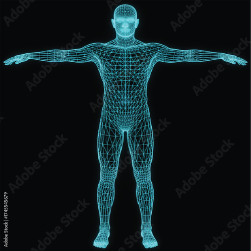 3d rendered illustration of a human body