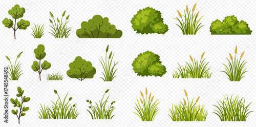 Illustration of various green plants, bushes, and grasses on a transparent background.