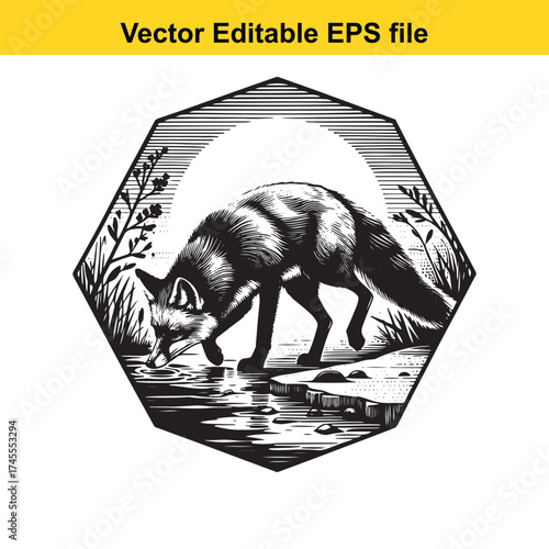 Vector art of hexagonal framed vector graphic of a fox drinking water