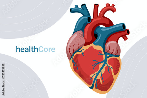 Anatomical Heart Illustration for Medical Concepts with HealthCore Logo Modern Presentation Healthcare Solutions and Cardiovascular Health