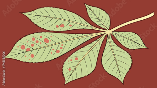 Leaf affected by fungal infection isolated on a red greenery background.  Signs of plant blight and powdery mildew visible on the surface.