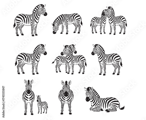 A set of zebra illustrations in various poses, from standing to resting, focusing on the distinct black and white stripes.