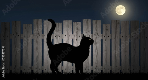 Black cat silhouette under the moonlight.