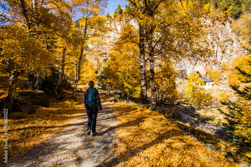 Wallpaper Mural Young hiker woman in autumn in Aiguestortes and Sant Maurici National Park, Spain Torontodigital.ca