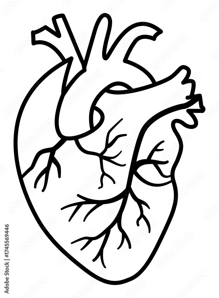 Obraz premium Human heart icon illustration on transparent background