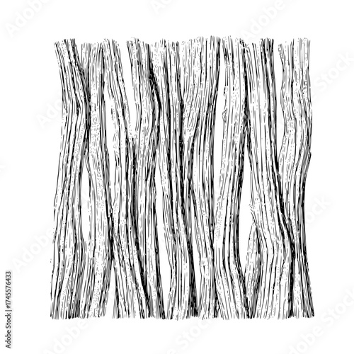 Detailed black and white tree bark texture pattern vector illustration for graphic design and backgrounds use