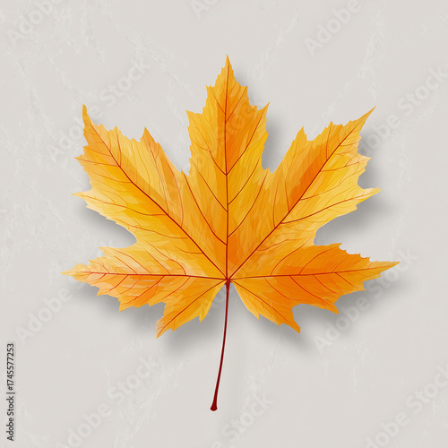 maple leaf in golden autumn colors, flat minimal design