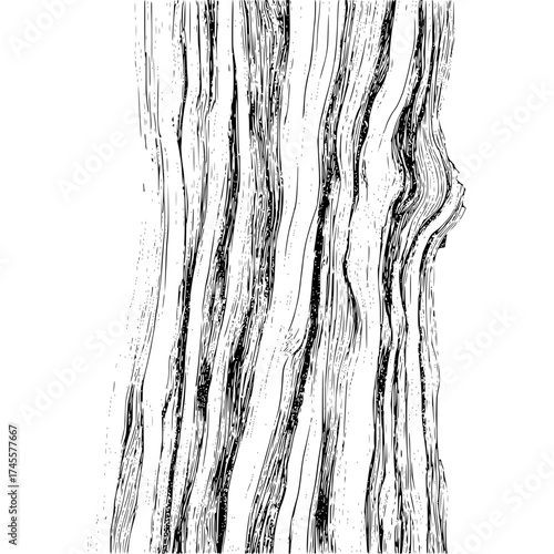 Detailed tree bark texture illustration for graphic design and nature study black and white vector drawing