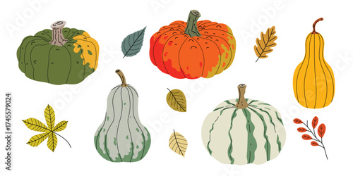 Fall pumpkin and autumn leaves set. Collection of seasonal vegetables and foliage in flat modern style. Best for Thanksgiving and harvest design. Vector illustration isolated on white background.