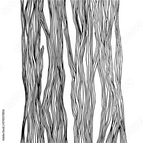 Abstract tree trunks forest illustration black and white line art drawing nature woodland design element graphic 100