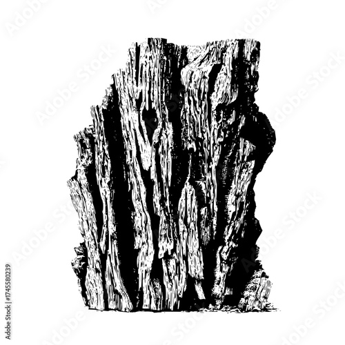 Detailed black and white illustration of decaying tree trunk wood texture nature outdoor graphic design element