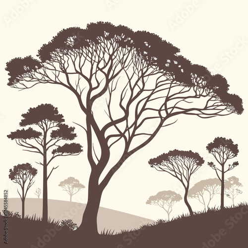 Vector art of african savanna trees isolated