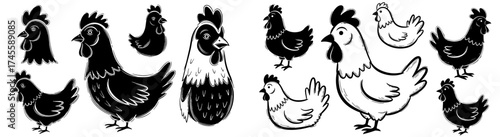 Farm Animals Hen and Rooster in Black and White Sketch Style, Poultry Chickens Posing, Agricultural Illustration Set for Branding, Packaging Design and Easter Projects, Rustic Vintage Animal Graphics