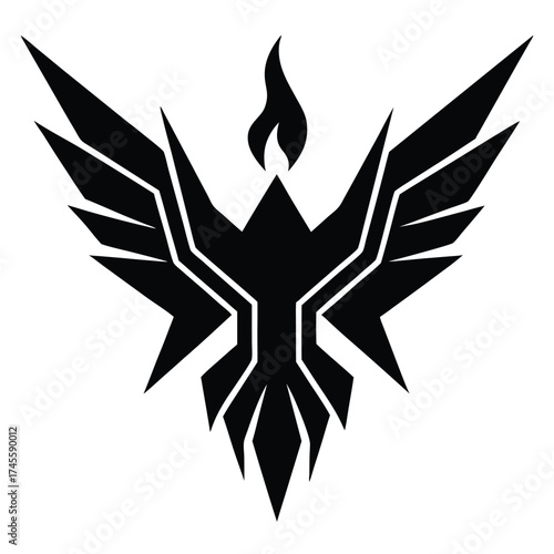 black and white wings