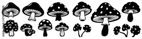 Whimsical Mushroom Collection: Hand-Drawn Fungi Set Isolated on White Background for Fantasy Illustration, Botanical Designs, Educational Materials, Nature-Themed Decoration & Ethereal Graphic Project