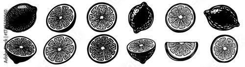 Vibrant Citrus Fruit Assortment: Fresh Lemon and Lime Slices, Halves, and Whole Fruits in Black and White Hand-Drawn Style for Healthy Food Designs, Tropical Beverage Illustrations, Vitamin C Boost, a