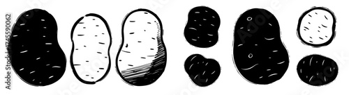 Monochrome Potato Collection: Fresh Harvest Sketches in Black and White on Plain Backdrop, Organic Vegetables for Healthy Eating, Culinary Illustrations, Farming Produce, Agriculture, Food Ingredients