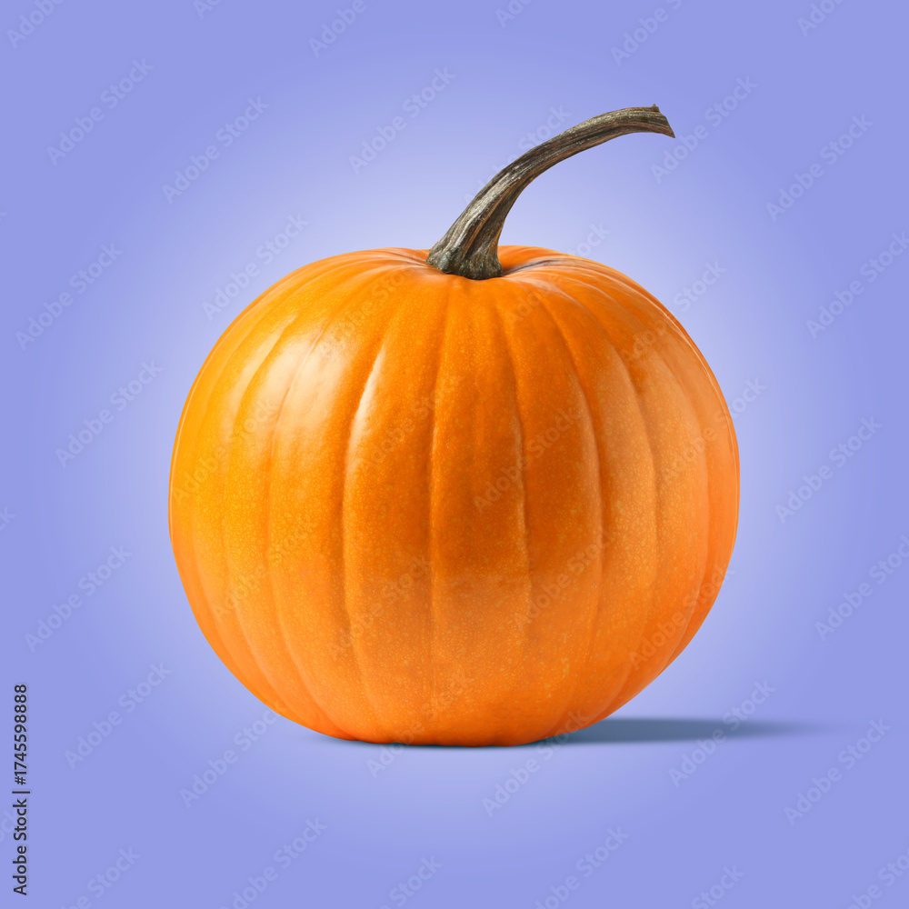 Obraz premium Whole ripe pumpkin on blue violet background