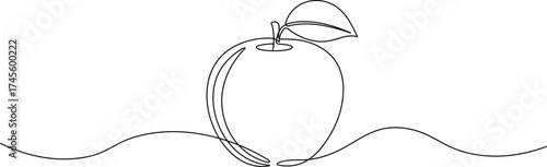One line drawing of apple. Minimalist continuous line art of single apple fruit