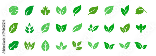 Green leaf collection, eco and nature elements, organic foliage and botanical symbols, vector leaves design on transparent background.