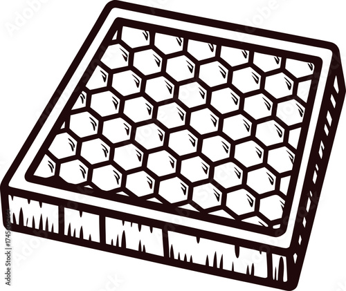 Hand drawn honeycomb structure in wooden frame isolated on white background, vintage engraved sketch illustration