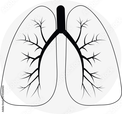 Lungs Anatomy Black and White Illustration