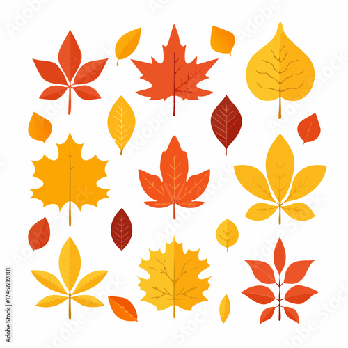 Vibrant collection of autumnal leaves in various shapes and colors, symbolizing the beauty of fall
