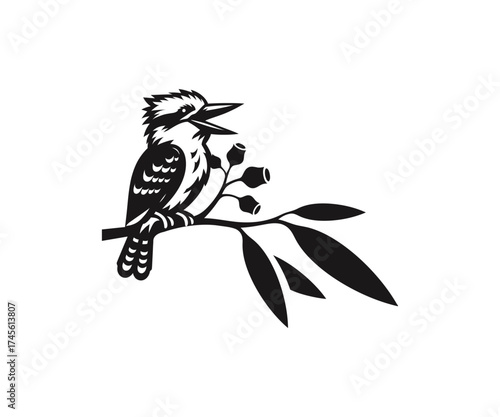 Kookaburra perched on a branch with eucalyptus buds