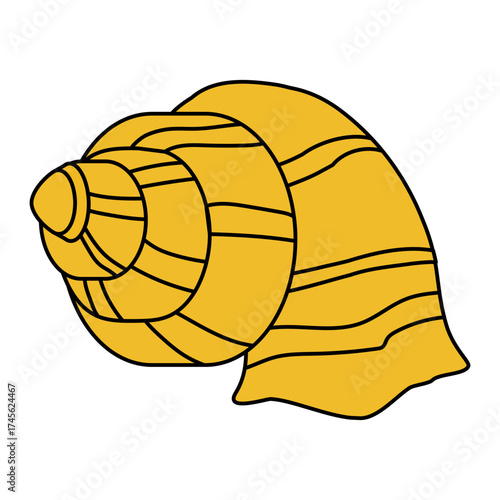 Sea shell cartoon. Tropical ocean exotic underwater seashell, vector icon