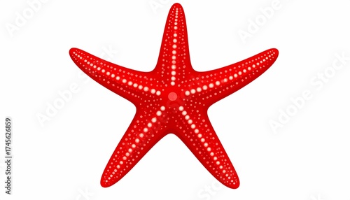 Bright red starfish with intricate texture and dotted patterns, perfect for marine-themed designs or educational materials about sea life and ocean ecosystems, displaying vibrant ocean colors.