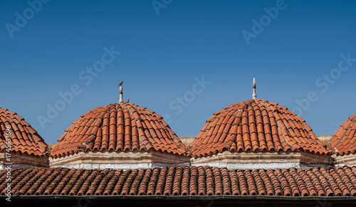 Ulucami. grand mosque. tile-covered domes. adana, turkey.