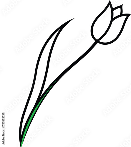 a tulip slightly bending to the right with a green