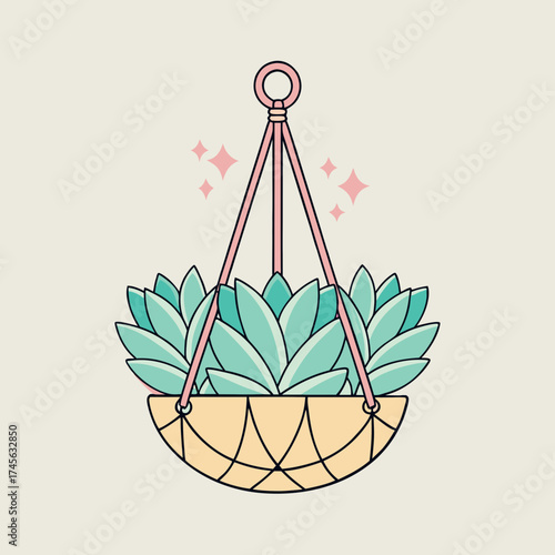 Hanging Succulent Plant