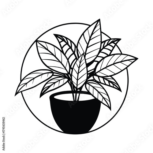 Hand drawn illustration of a potted houseplant with large leaves inside a circle