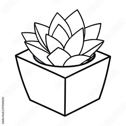 Simple black and white line drawing of a succulent plant in a geometric pot
