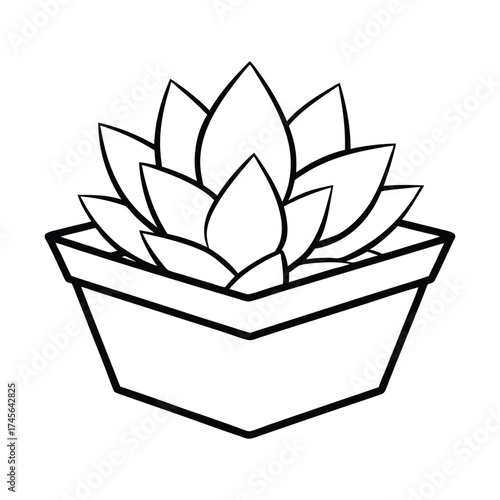 Simple black and white line drawing of a succulent plant in a geometric pot