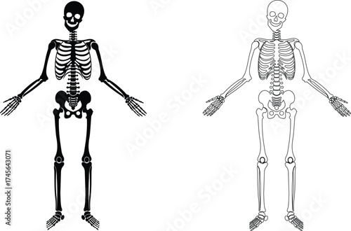 Dancing human skeleton bones icon isolated on transparent background in black and line style, anatomy spooky skull cranium medical illustration vector bundle design element.
