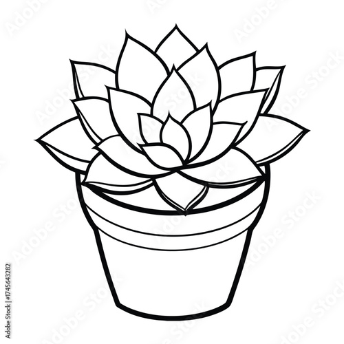Hand drawn outline sketch of a potted succulent plant with layered leaves in a simple pot