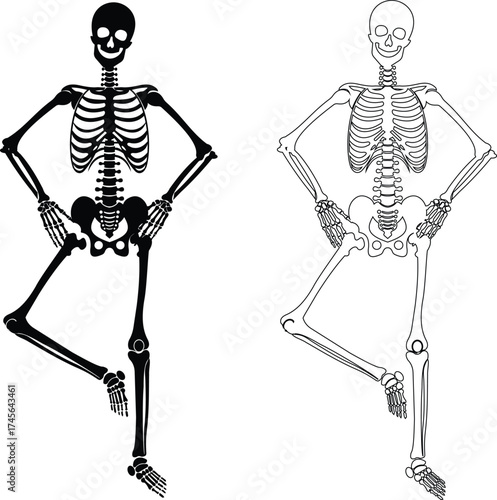 Dancing human skeleton bones icon isolated on transparent background in black and line style, anatomy spooky skull cranium medical illustration vector bundle design element.