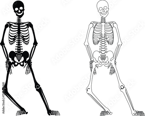 Dancing human skeleton bones icon isolated on transparent background in black and line style, anatomy spooky skull cranium medical illustration vector bundle design element.