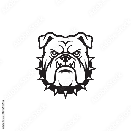 Fierce Bulldog with Spiked Collar