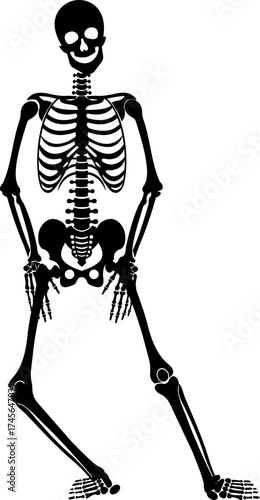 Dancing human skeleton bones icon isolated on transparent background in black and line style, anatomy spooky skull cranium medical illustration vector bundle design element.