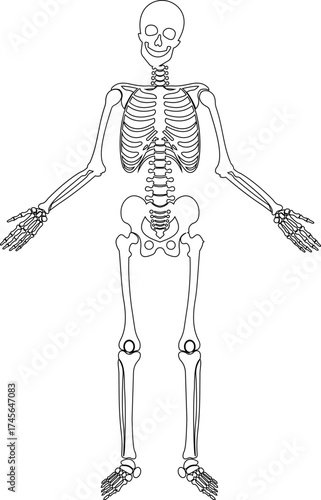 Dancing human skeleton bones icon isolated on transparent background in black and line style, anatomy spooky skull cranium medical illustration vector bundle design element.