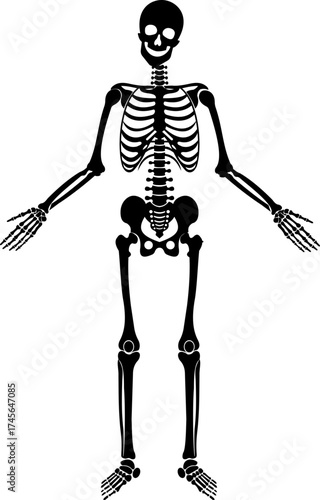 Dancing human skeleton bones icon isolated on transparent background in black and line style, anatomy spooky skull cranium medical illustration vector bundle design element.