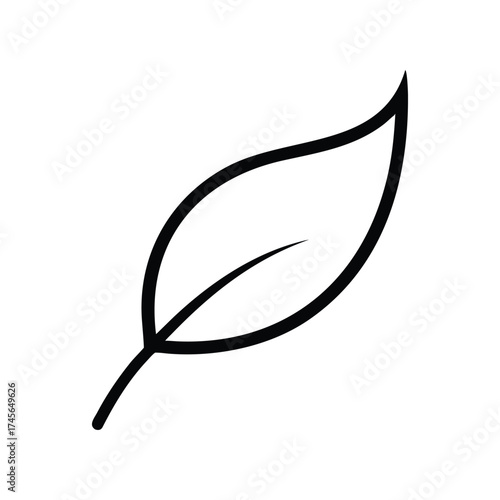 Leaf Vector Design Ideas Adobe Stock