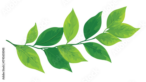 Vibrant Green Leaf Plant Branch - Botanical Nature Growth in Spring